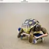 adam_craycray - @adam_craycray - TikTok