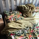 Adam Creech - @afonsoartalelb - Instagram