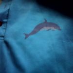 adam james cribb - @adamjamescribb - Instagram