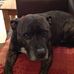 Adam Crick - Facebook