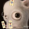 adam_santacroce04 - @adam_jsc04 - TikTok