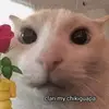 adam - @cry.adam - TikTok