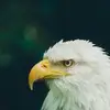 adamdaunah - @adamdaunah - TikTok