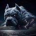 Adam Davy - Facebook