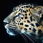 Adam Davy Davy Smith - @davy_davy006 - Instagram