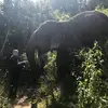 adamdavy7729 - @adamdavy7729 - TikTok