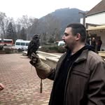 Ádám Deák - @deak2536 - Instagram