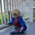 Adam Deakin - @madman3dee - Instagram