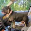 Adam Deleon - @adam.deleon89 - TikTok