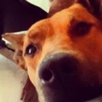Adam Devoe - @adam.devoe - Instagram