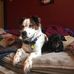 Adam DeWitte - Facebook