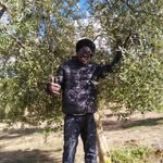 adam Dibba - @adam.dibba - Instagram
