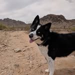 Adam Dickerson - @adam_dick - Instagram
