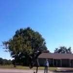 Adam Diehm - @adamcrazyboydiehm14 - Instagram