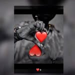 adam's �� diéry - @adamsdiery - Instagram