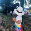 Adam Diercks - @adam.diercks1 - TikTok