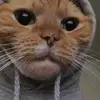 Adamebuiltdiffernt - @adam.shahid8 - TikTok