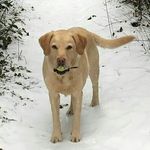 DigbyAdams - @digbyadams - Instagram