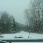 Adam Dodge - @north_south_bigfoot - Instagram