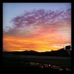 Adam Dolinger - @adamdolinger - Instagram