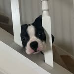 Adam.Dorner - @adam_dorner1 - Instagram
