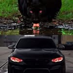 @adam_dororo_09 - Instagram