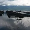 Adam dose - @adiosea - TikTok