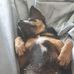 Adam Dosh - Facebook