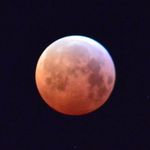 Adam Dost - @adamdost_cz - Instagram