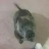 Adam Doster - @adam.doster - TikTok
