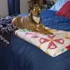 Adam Dougherty - @adam.dougherty - TikTok