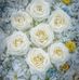 Adam Douich - Facebook