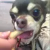 user3551055780655 - @adamdown9 - TikTok