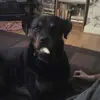 adamdowns45 - @adamdowns45 - TikTok