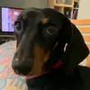 Adam Dowsett793 - @adam_dowsett - TikTok