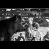 Adam Doyle - @adamdoyle63 - TikTok