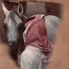 Adam Edrees - @adam.edrees3 - TikTok