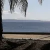 adamdreesumagit - @adamdreesumagit - TikTok