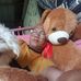 Dansky Adamitse - Facebook