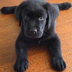 Adam Driggers - @edisto1986 - Instagram