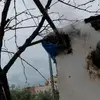 Adem Küpeli - @adamearrings - TikTok
