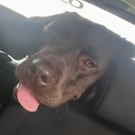 Adam Eccles - @adameccles1929 - Instagram