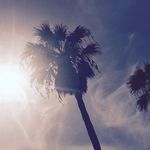 AdamJEccles - @adam.eccles - Instagram