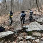 Adam Eccleston - @adam_is_dumb31256 - Instagram