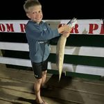 Adam Eckard - @adam.eckard.14 - Instagram