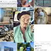 Adam Eckenrode - @adameckenrode117 - TikTok