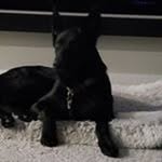 Adam Edgington - @adamedg97 - Instagram