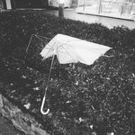 Adam Egan - @brokenumbrells - Instagram