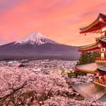 Adam Eldridge - @fuji_dreaming - Instagram