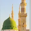 Adam El Shamy - @adam.el.shamy - TikTok